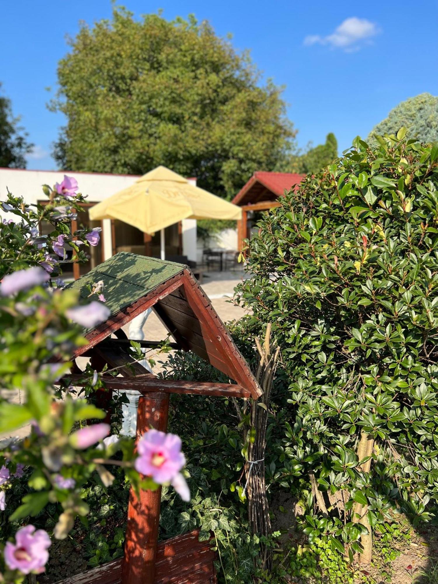 Bajor Panzio Buek-Buekfuerdo, Adults Friendly 12 Plus Buitenkant foto